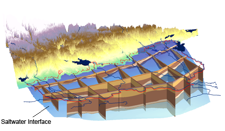 Water table and saltwater interface