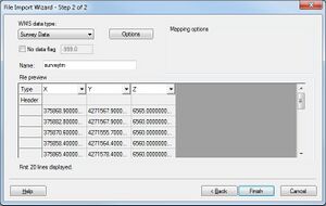 WMS File Import Wiz 2.jpg